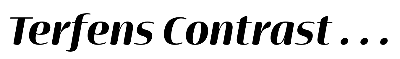 Terfens Contrast Extended Black Italic